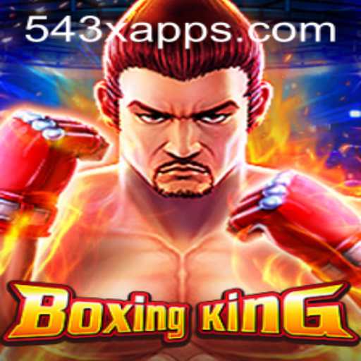 Exploring BoxingKing: A Comprehensive Introduction and Overview